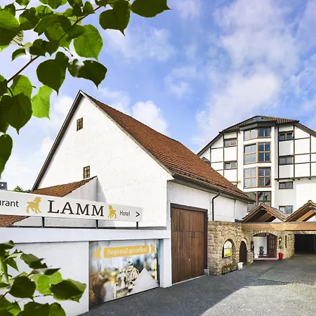 Hotel Lamm-2