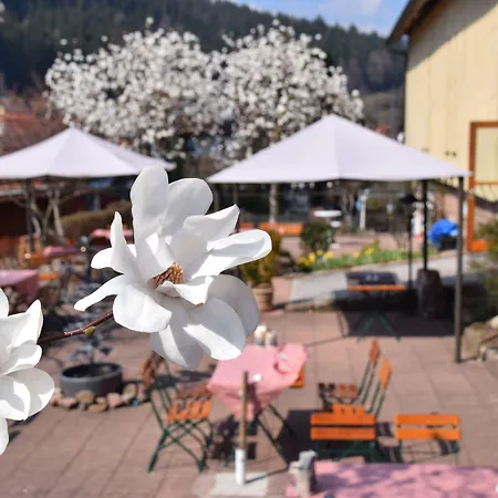 Gutshof-Hotel Waldknechtshof-3