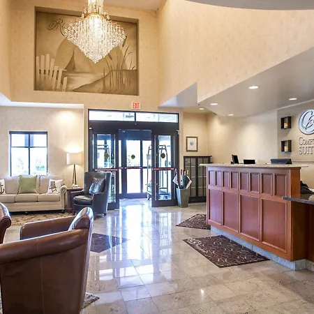 Comfort Suites West Warwick - Providence-2