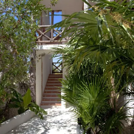 Holbox By Xaloc-2