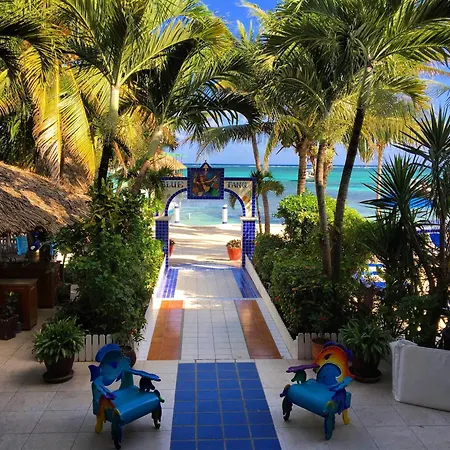 Blue Tang Inn - Beachfront Suites And Pool-3