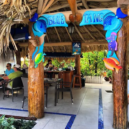 Blue Tang Inn - Beachfront Suites And Pool-2