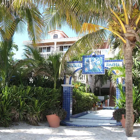Blue Tang Inn - Beachfront Suites And Pool-3