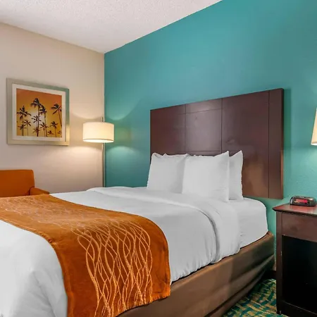 Comfort Inn & Suites Fort Lauderdale West Turnpike-3