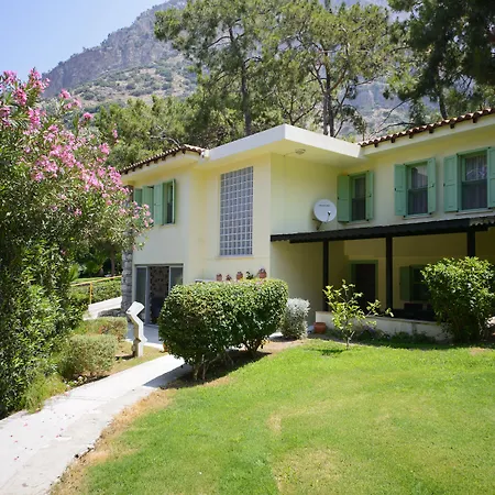 Liberty Lykia-3