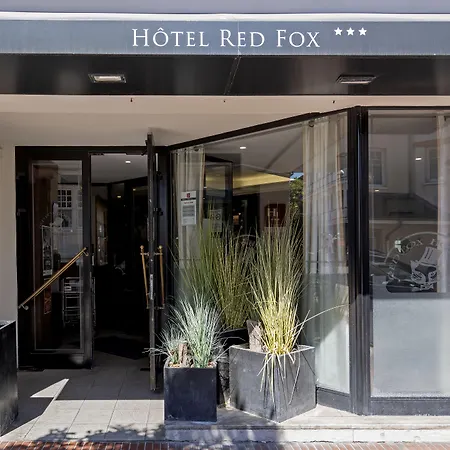 Red Fox-3