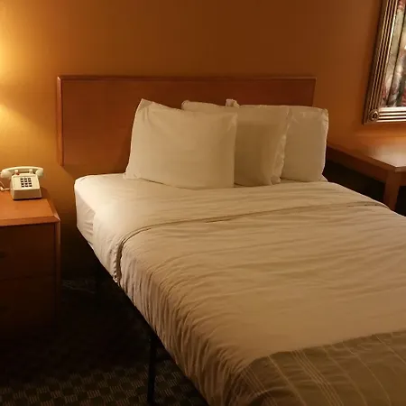 Dartmouth Motor Inn-3