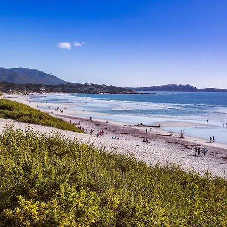 Tradewinds Carmel-3