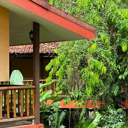 Hotel El Bambu-3