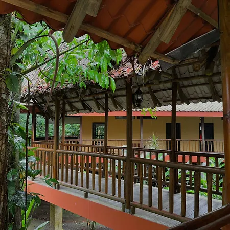 Hotel El Bambu-2