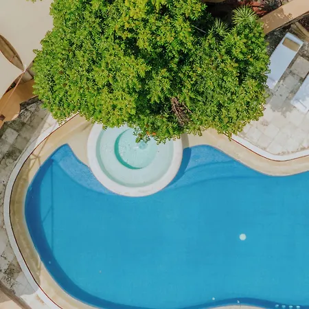 Hostal De La Luz - Spa Holistic Resort-2