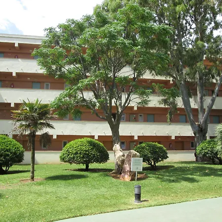 Hyb Eurocalas-2