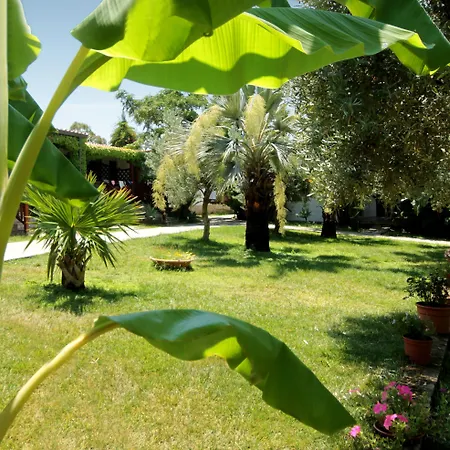 Tonicello Hotel Resort&SPA-3