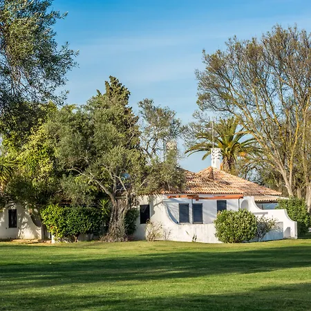 Pedras D'el Rei-3