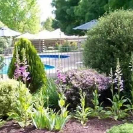 Mansfield Valley Motor Inn-3