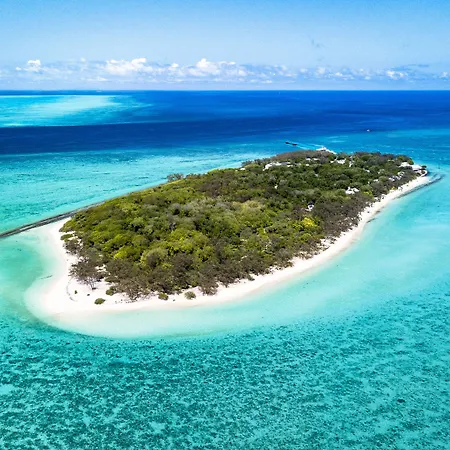 Heron Island-2