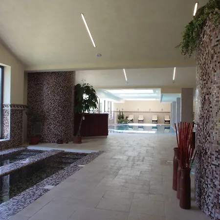 Palace Hotel San Michele-2