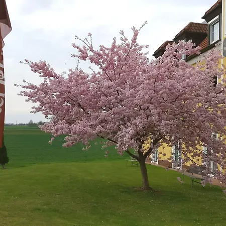 Hotel Rhöner Land Garni - Bed&Breakfast-2