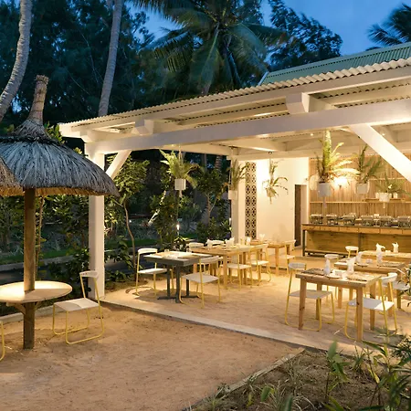 Tropical Attitude (Adults Only)-3