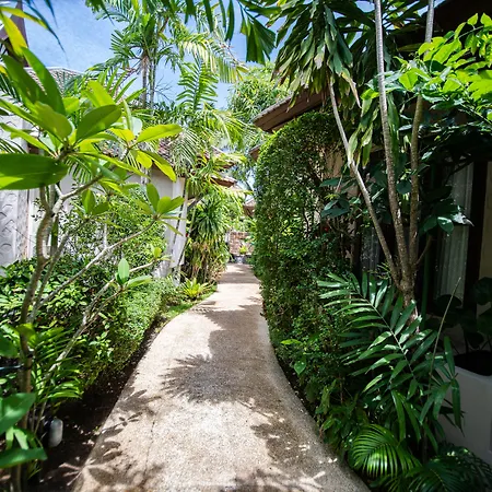 Rummana Boutique Resort - Sha Plus-3
