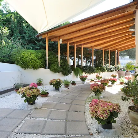 Best Western Hotel Anthurium-2