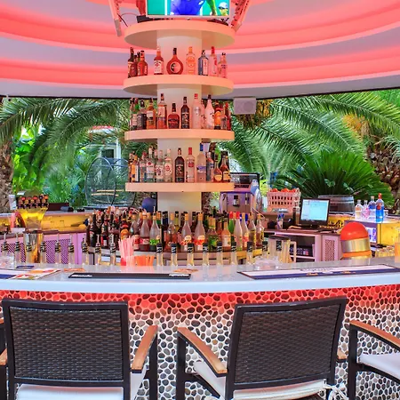 Flamingo Hotel&Spa - Pet Friendly-2