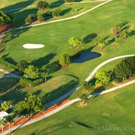 Country Inn & Suites By Radisson, St Petersburg - Clearwater, Fl-3