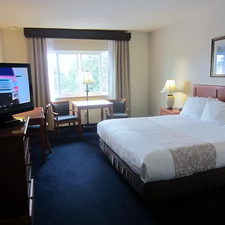 Newport Channel Inn-3