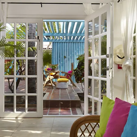 Boardwalk Boutique Hotel Aruba - Adults Only-3