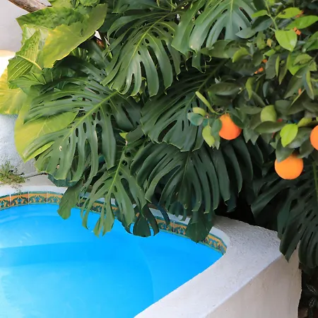 La Casona Breakfast & Wellness Center-2