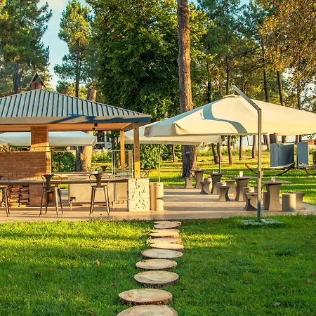 Kobuleti Georgia Palace Hotel & Spa-3