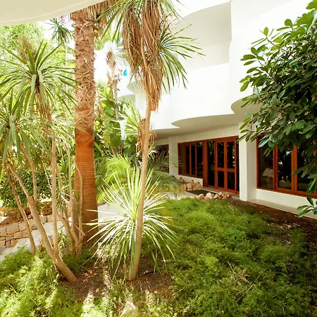 Sentido Fido Tucan - Adults Only-2