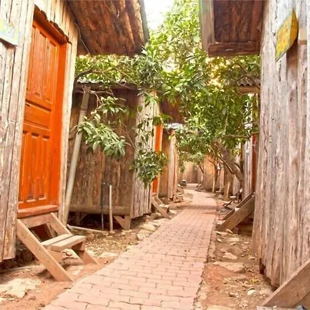 Bayrams Tree Houses-2