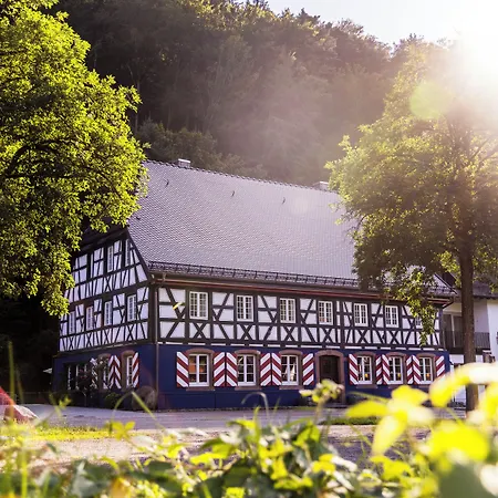Schwarzwaldgasthof Hotel Schlossmühle-3