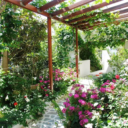 Aris Boutique Hotel-2