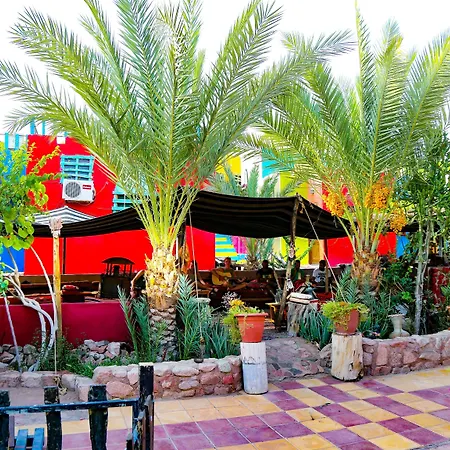 Bedouin Garden Village, Hotel Dive-2