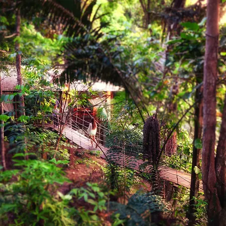 Bunga Raya Island Resort & Spa-3