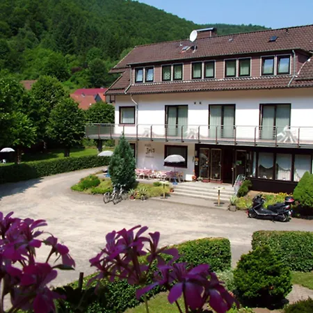 Harz hotel Iris-3