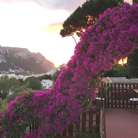 La Reginella Capri-3