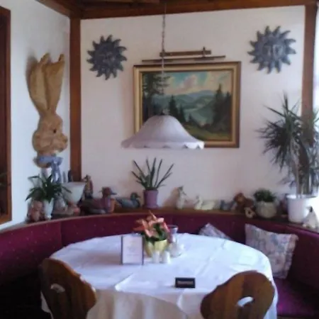 Hotel Sarbacher-3