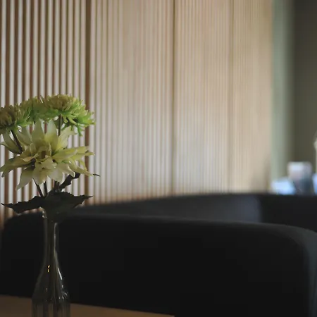 MD Modern Hotel - Jardines-3
