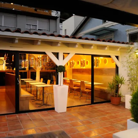 Hotel Domus-3