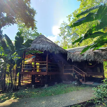 Cariblue Beach And Jungle Resort-2