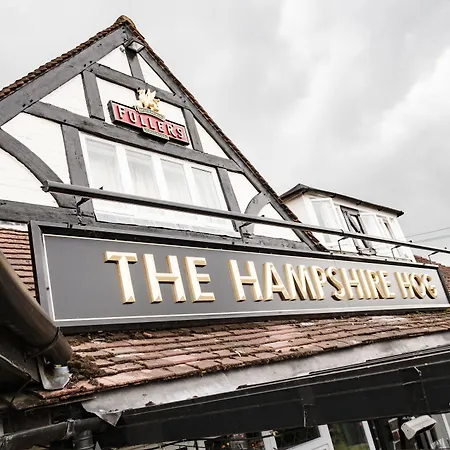 The Hampshire Hog-2