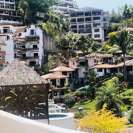 Hotel Amaca Puerto Vallarta - Adults Only-3