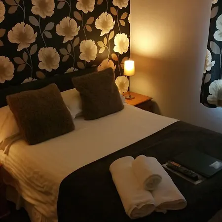Hotel Plas Hyfryd-2