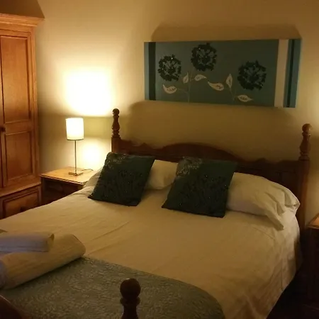 Hotel Plas Hyfryd-3