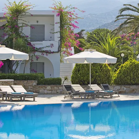 Dionysos Beach Resort&Villas-2