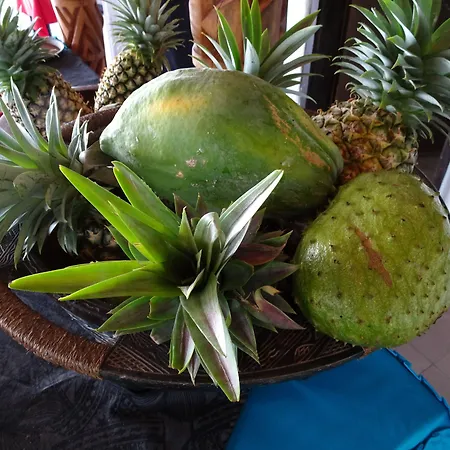 Savaii Lagoon Resort-3