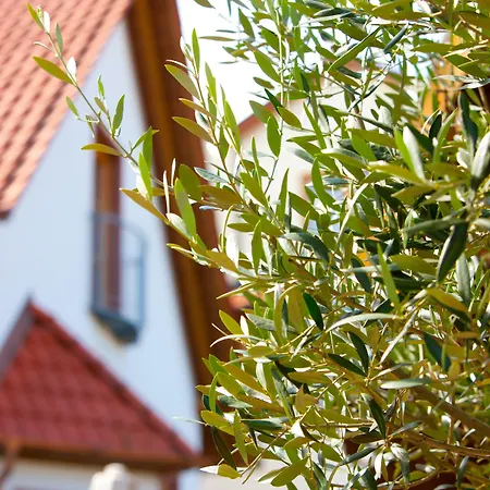 Pfalzhotel Asselheim-2
